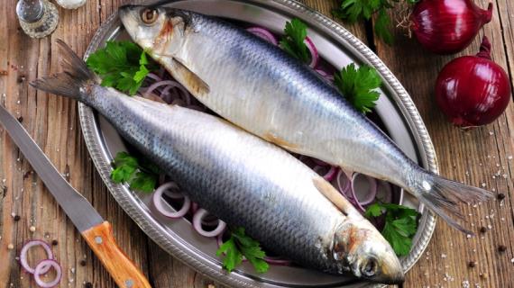Рыбные ряды: оптовые цены на основные виды мороженной сохраняют стабильность