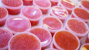 На Камчатке начали действовать ограничения авиаперевозки лососевой икры