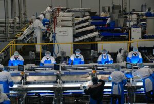 Производство рыбной продукции в России идет опережающими темпами