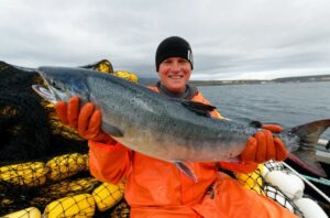 Стартовала заявительная кампания на выдачу разрешений для промысла в 2023 году
