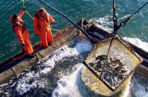 Росрыболовство выпустило все Приказы по пользователям на 2023 год