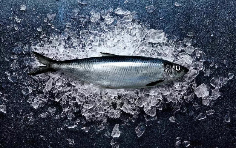 Рыбные ряды: снижаются оптовые цены на мороженую рыбу