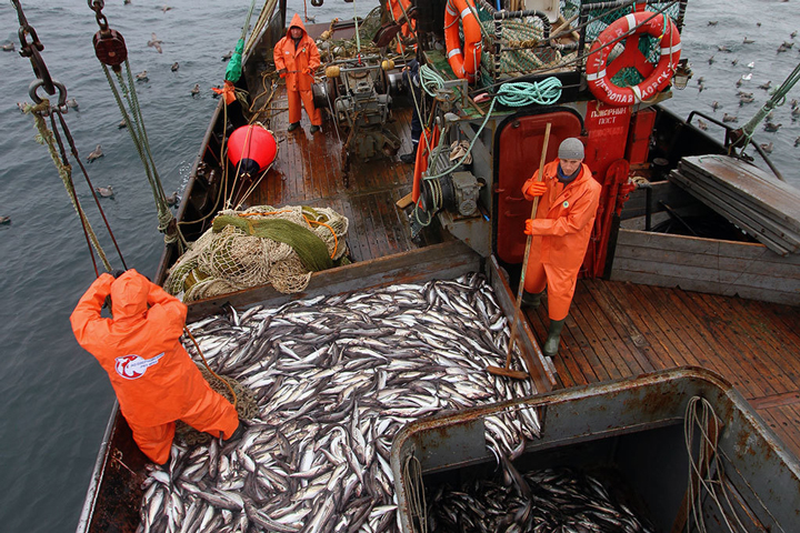 Рыбаки начали 2023 год ударными темпами по вылову практически во всех рыбохозяйственных бассейнах