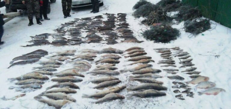 В районе Жигулёвской ГЭС задержан браконьер с большим уловом — нарушитель возместит ущерб на более 1,9 млн рублей