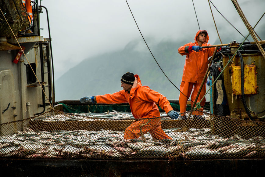 Рыбаки начали промысел с прибавкой по вылову в 12,3% к аналогичному периоду 2022 года