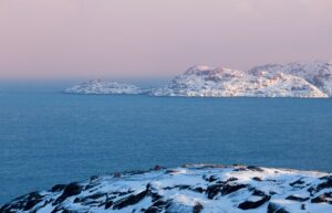 Определены акценты в работе отраслевой науки: в центре внимания – глубоководные объекты Дальнего Востока и Арктика