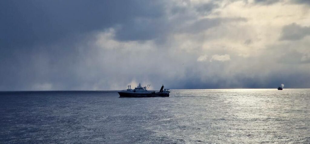 В Охотском море началась самая крупная в России минтаево-сельдевая путина – это основной промысловый объект рыбаков