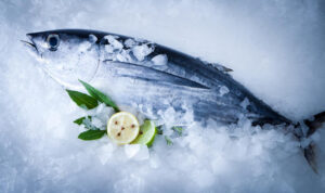 Рыбные ряды: цены на мороженую рыбу в оптовом сегменте снижаются или сохраняют стабильность