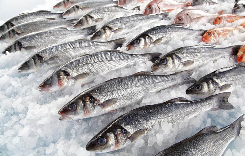 В 2022 г объем ж/д поставок рыбы с Дальнего Востока вырос почти на 10%