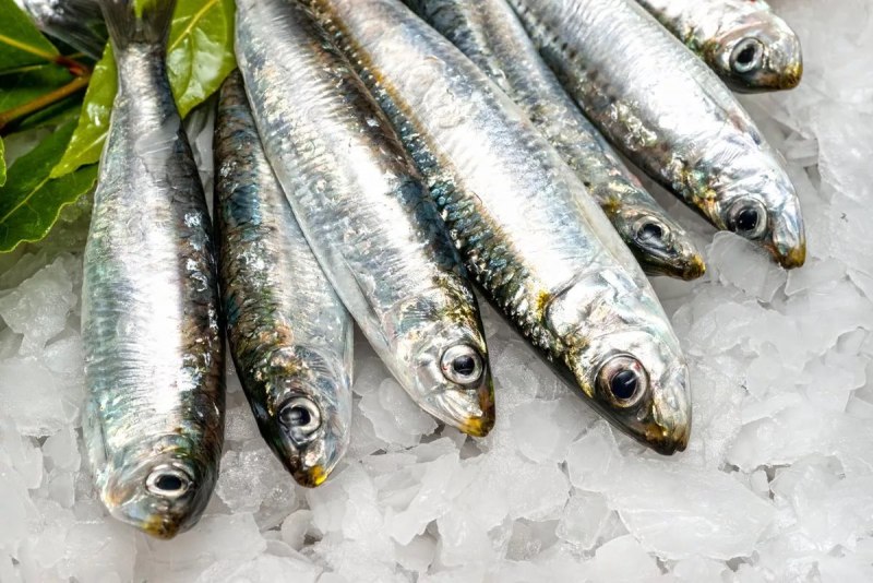 Рыбные холодильники в портах Приморья свободны на 62% — грузоперевалка и отправка рыбы в регионы РФ идет без остановок