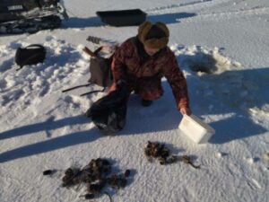 На озере Цевло в Псковской области у рыбака изъяты незаконные орудия лова
