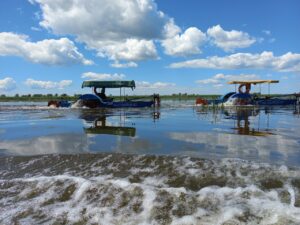 Росрыболовство обсудит работу по оздоровлению Волги в рамках нацпроекта «Экология» на общественных слушаниях в Астраханской области