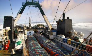 С начала года российские рыбаки добыли более 580 тыс. тонн – на 4% выше прошлогоднего показателя