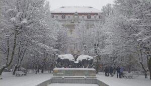 Ученые Калининградского вуза Росрыболовства завершили год с интересными научными разработками