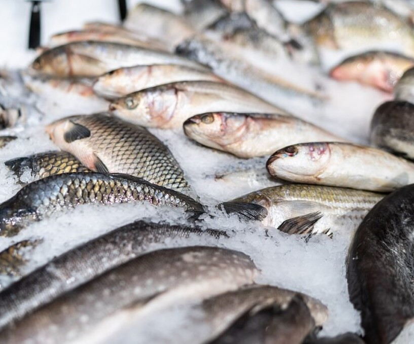 Рыбная продукция с Дальнего Востока отправляется в регионы России в больших объемах и бесперебойно