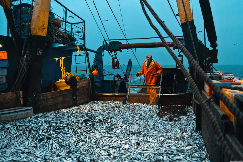 Российские рыбаки к середине марта добыли более 1,1 млн тонн рыбы и морепродуктов — на 10,5% больше уровня 2022 года