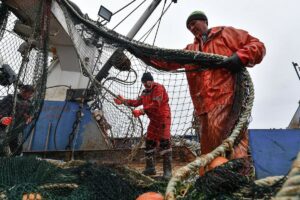 К концу марта российские рыбаки нарастили показатель вылова на 12% — до 1,37 млн тонн