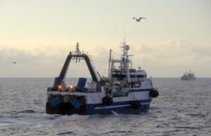 С начала года российские рыбаки добыли 965 тыс. тонн рыбы и морепродуктов – на 10% больше уровня 2022 года