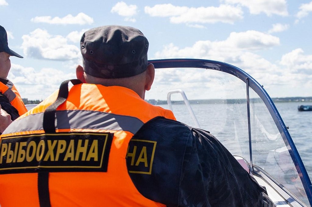 Росрыболовство совместно с ФСБ и полицией пресекают незаконный оборот рыбной продукции в Приморском крае