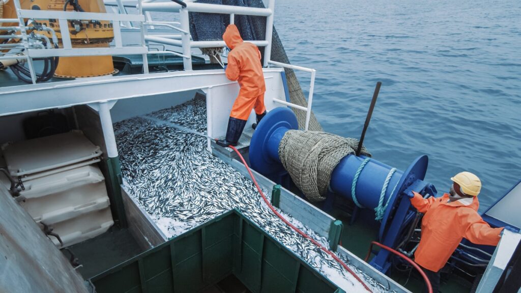 К началу весны российские рыбаки добыли 860 тыс. тонн рыбы – на 14,5% выше уровня прошлого года