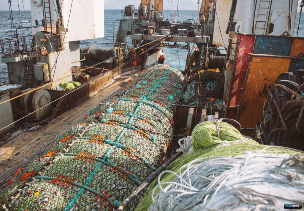 Рыбаки успешно ведут промысел минтая, сельди и трески на Дальнем Востоке