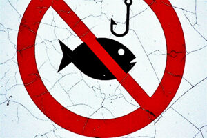 О запрете на любительское рыболовство в период нереста на водоемах в зоне ответственности Северо-Кавказского ТУ