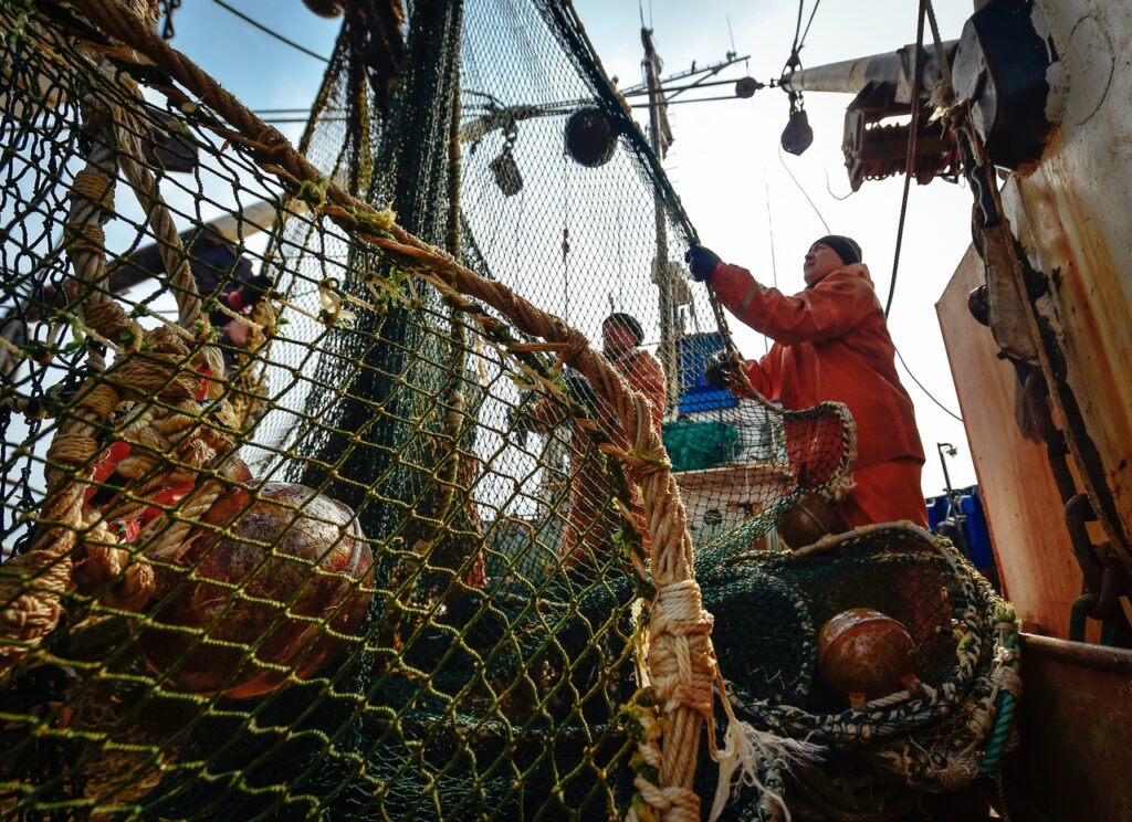Отечественные рыбаки сохраняют устойчивую положительную динамику промысла: добыто 1,7 млн тонн – на 9,4% выше