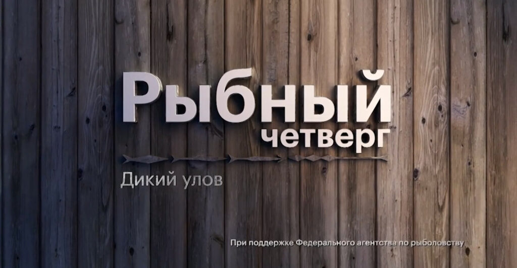 Росрыболовство совместно с телеканалом РБК запустило программу «Рыбный четверг»