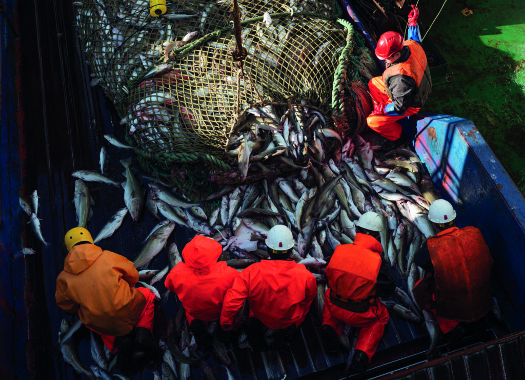 Российские рыбаки наращивают объемы вылова: добыто 1,88 млн тонн – на 6,1% выше уровня 2022 года