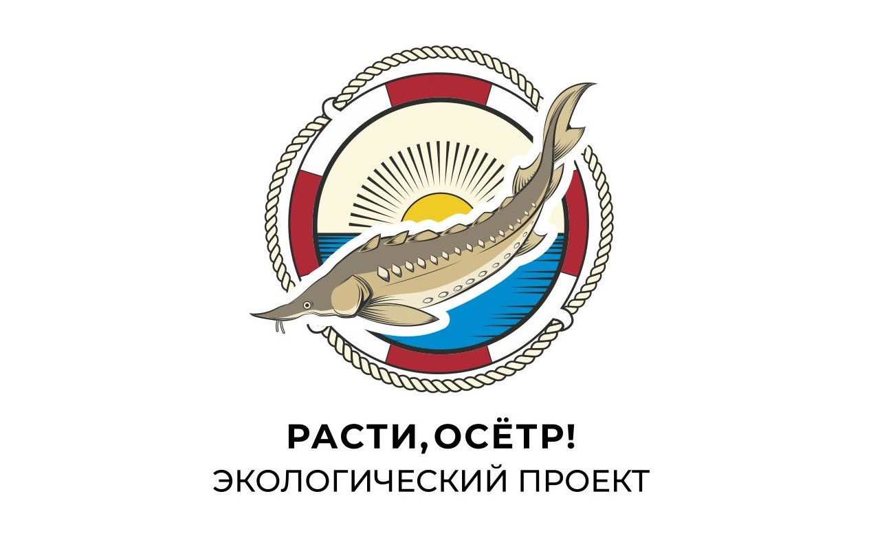 Экологический проект «Расти, осетр!»: все желающие могут внести вклад в  восстановление популяции сибирского осетра | Федеральное агентство по  рыболовству