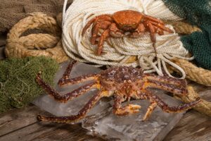 Глава Росрыболовства Илья Шестаков о развитии рынка сбыта краба, пресс-подход по завершении церемонии поднятия флага на краболове «Капитан Александров»,14 июня, Санкт-Петербург, Адмиралтейские верфи