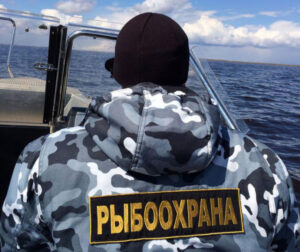Охота на браконьеров идет на Камчатке – на страже порядка и законного лова стоят инспекторы Рыбоохраны