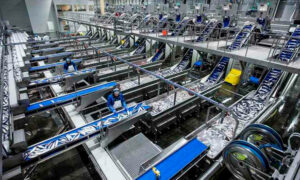 Российская рыбная отрасль работает стабильно и позволяет наращивать объемы производства рыбной продукции: за пять месяцев произведено на 5,5% больше – 1,8 млн тонн