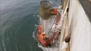 Вылов лососей на Дальнем Востоке набирает обороты – практически вся продукция поступает на внутренний рынок