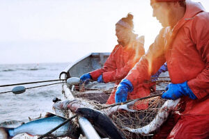 Поздравление Министра сельского хозяйства РФ Дмитрия Патрушева с Днем рыбака