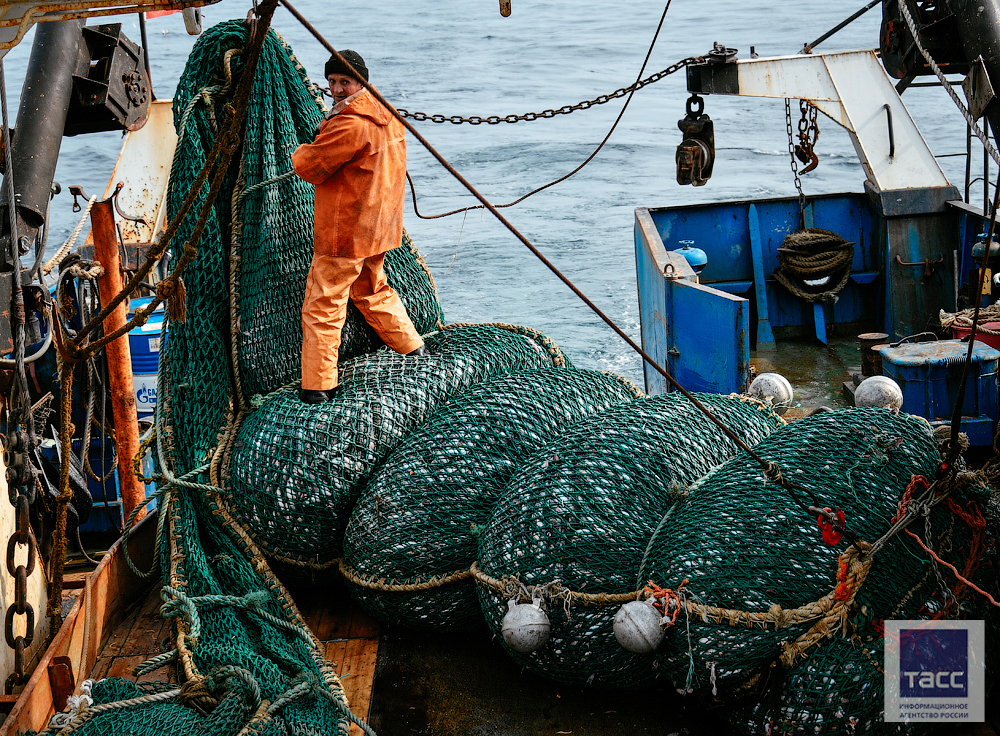 Российские рыбаки выловили более 3,2 млн тонн рыбы – на 10,6% выше уровня прошлого года