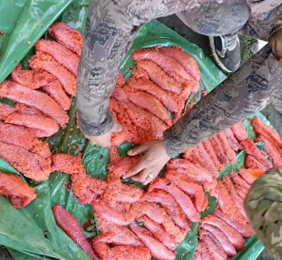 На Камчатке задержаны браконьеры с крупной партией лососевой икры — нарушителям грозит уголовное наказание