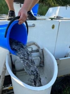 Приоритет сохранения ценных запасов осетровых: подведомственный Росрыболовству “Главрыбвод” продолжает зарыблять стерлядью реки Донского бассейна