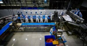 Оборот предприятий рыбной отрасли за первое полугодие 2023 года вырос на 4% – до 437 млрд рублей