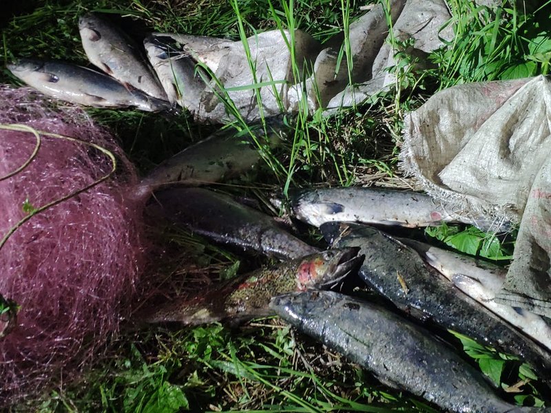 За неделю инспекторы рыбоохраны Северо-Восточного ТУ Росрыболовства выявили 110 правонарушений