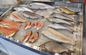 Россия и Китай продолжают наращивать товарооборот рыбной продукции