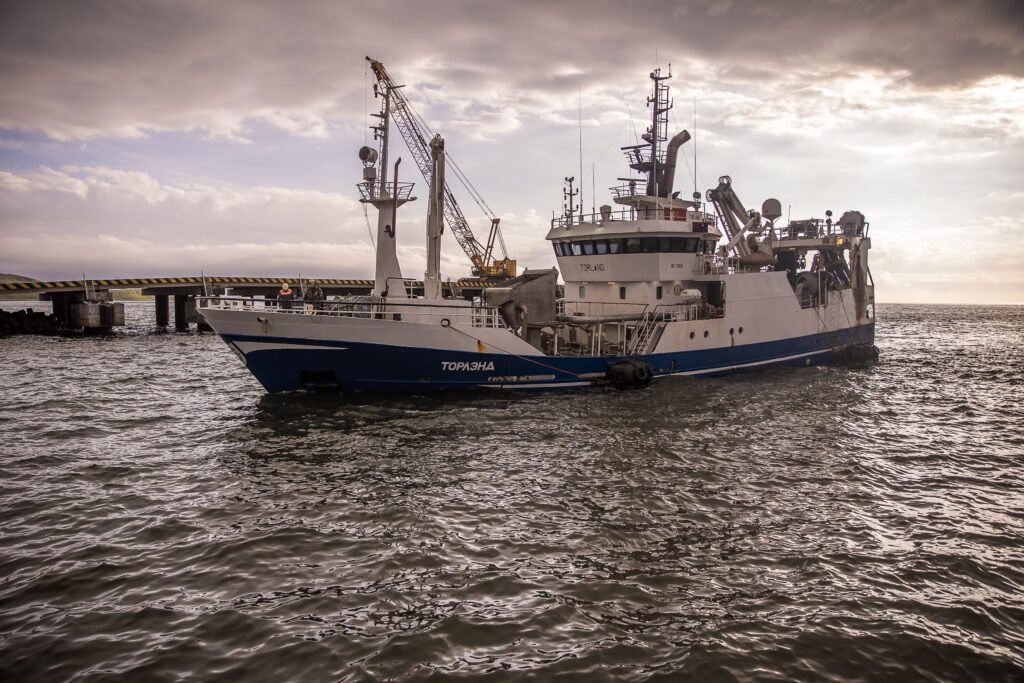Российские рыбаки выловили более 4 млн тонн рыбы и морепродуктов