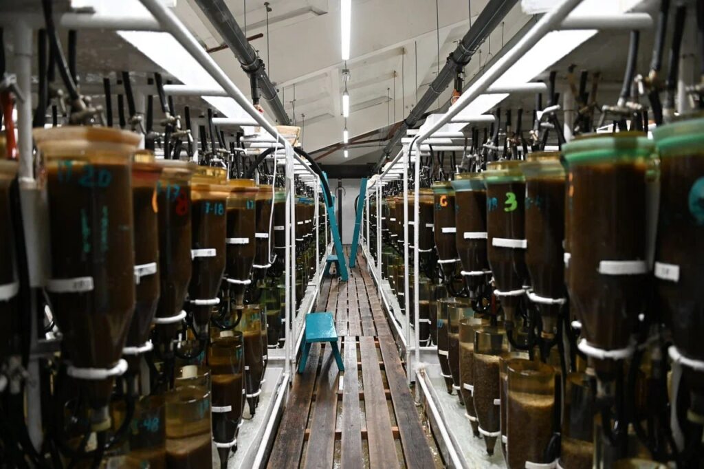 Большереченский омулевый завод готов к новому рыбоводному сезону: в этом году выпущен рекордный объем омуля за последние 5 лет