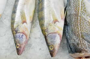 Экспортеры рыбной продукции смогут вернуть до 50% затрат на логистику