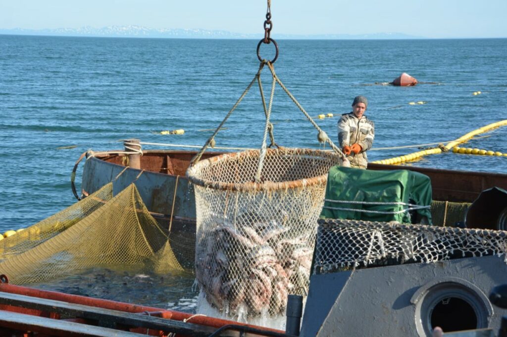 На страже продовольственной безопасности: ужесточен контроль за иностранными инвестициями в рыбодобыче
