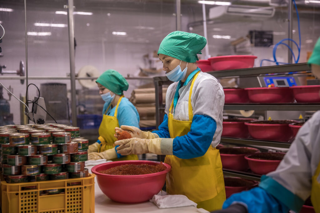 Производство лососевой икры в России выросло в три раза к уровню прошлого года — большая часть продукция из лососей идет на внутренний рынок