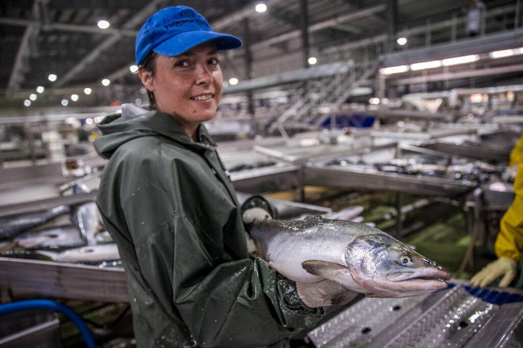 Российский рыбный экспорт растет на фоне увеличения вылова и переработки