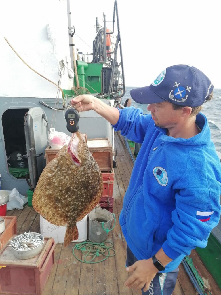 Рыбаки освоили рекордный объем камбалы калкан в Азовском море за последние 20 лет
