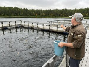 Аквакультура развивается в самых северных регионах страны
