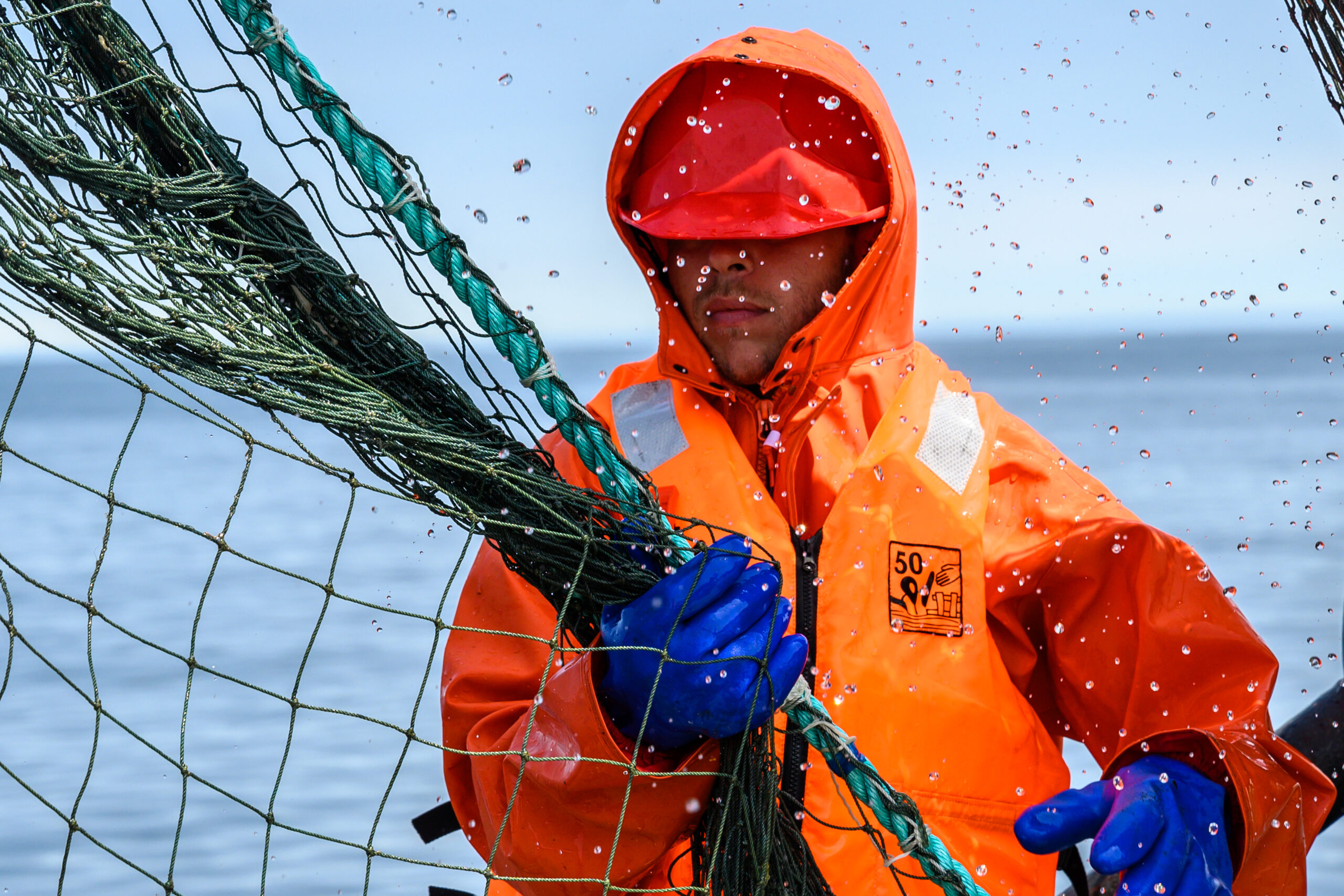 К концу ноября российские рыбаки выловили более 4,9 млн тонн рыбы
